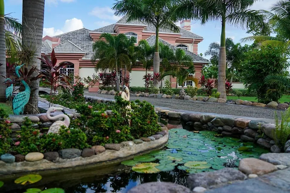 Villa Dora Mae Ocho Rios Jamaica